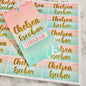 Gradient Pink and Aqua School Supplies Labels & Backpack Tag