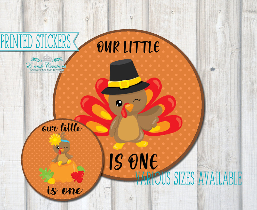 Our Little Turkey, Turkey Birthday, Turkey Stickers. T1120